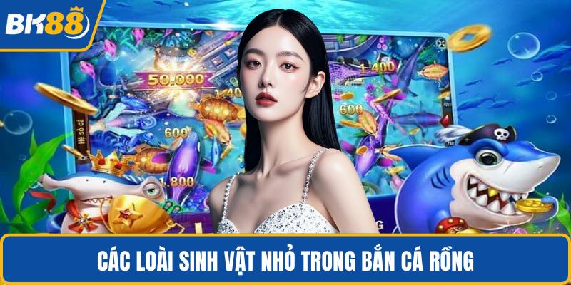 Các loài sinh vật nhỏ trong bắn cá rồng