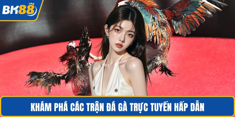 Khám phá các trận đá gà trực tuyến hấp dẫn