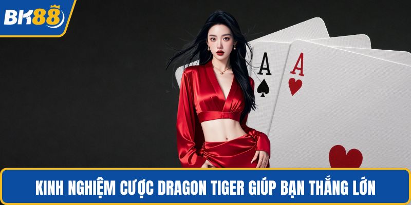 Kinh nghiệm cược Dragon Tiger giúp bạn thắng lớn
