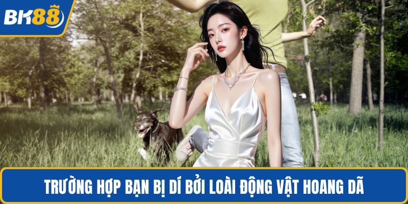 Trường hợp bạn bị dí bởi loài động vật hoang dã